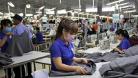 Hàng Việt chưa tăng được doanh thu tại thị trường Đông Âu tiềm năng
