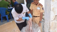 Thừa Thiên – Huế: Phát hiện hơn 1,6 tấn nội tạng không rõ nguồn gốc