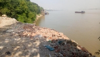 Điều tra, xử lý nghiêm việc ngang nhiên đổ phế thải lấn chiếm sông Hồng