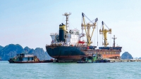 Xuất nhập khẩu hàng hóa bằng tàu Việt