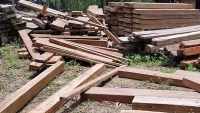 Quảng Bình: Điều tra vụ cất giấu gỗ lậu trong trụ sở UBND xã