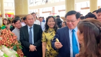 Phó Thủ tướng mong muốn vải thiều Bắc Giang sẽ tiếp tục “được mùa, được cả giá”
