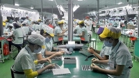Năng lực xuất khẩu của doanh nghiệp Việt đang dần cải thiện