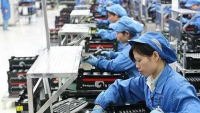 5 tháng đầu năm, Việt Nam đưa hơn 54.000 lao động đi làm việc ở nước ngoài