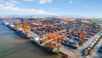 Khối lượng hàng hóa thông qua cảng biển Việt Nam đạt gần 500 triệu tấn