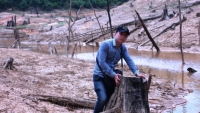 Nhà báo Võ Mạnh Hùng - Hành trình đột kích... cứu rừng xanh