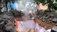 Phát hiện dịch tả lợn châu Phi đầu tiên tại Quảng Bình