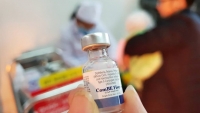 Trẻ 3 tuổi tử vong sau tiêm ở Lào Cai: Loại trừ nguyên nhân do vaccine