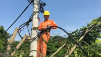 Điện lực Hà Nam đảm bảo cấp điện trong mùa nắng nóng 2019