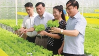 Sở NN&PTNT tỉnh Yên Bái: Quyết liệt vì mục tiêu phát triển kinh tế gắn với nông thôn mới