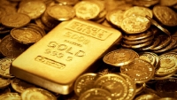 Giá vàng đang ở mức cao nhất trong 5 năm qua