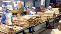 Nguy cơ từ kim ngạch xuất khẩu gỗ Việt vào Mỹ tăng đột biến