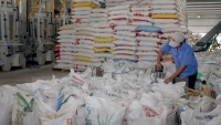 Các thị trường lớn đồng loạt giảm nhập gạo Việt Nam