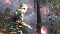 Thừa Thiên – Huế: Cháy rừng trên diện rộng tại nhiều khu vực
