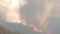 Nắng nóng gay gắt và cháy rừng ở miền Trung khiến tình hình cấp điện trở nên nghiêm trọng