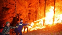 Hà Tĩnh: Cấp bách tăng cường phòng, chống cháy rừng