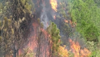 Một phụ nữ ở Nghệ An bị chết cháy khi dập lửa cứu rừng