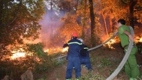 Cán bộ, chiến sỹ lực lượng vũ trang Hà Tĩnh nỗ lực cứu rừng giữa biển lửa