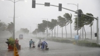 Quảng Ninh: Chủ động phòng chống cơn bão số 2