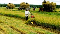 Hàn Quốc hỗ trợ 4,5 triệu USD phát triển nông nghiệp Đồng bằng sông Hồng