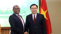 Phó Thủ tướng Vương Đình Huệ tiếp đại sứ Nam Phi, Nigeria