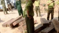 Quảng Bình: Kỷ luật 7 sĩ quan Đồn Biên phòng vì để lâm tặc phá rừng