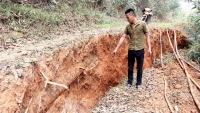 Dành 48 tỷ đồng xử lý khẩn cấp sự cố sạt lở đất tại Kỳ Sơn, Nghệ An