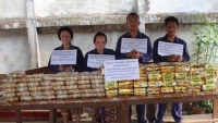 Chặt đứt đường dây ma túy ‘khủng’ ở biên giới Việt – Lào