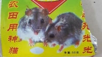 Cảnh báo hóa chất diệt chuột cực độc của Trung Quốc bị cấm 20 năm nay trở lại