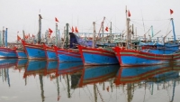 Thanh Hóa: Các chủ tàu cá được cấp phép khai thác thủy sản