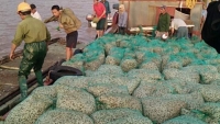 Hải Phòng: Người nuôi ngao “kêu cứu” vì doanh nghiệp khai thác cát