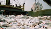 Việt Nam xuất khẩu 50.000 tấn gạo sang Bangladesh với giá trên 600 USD/tấn