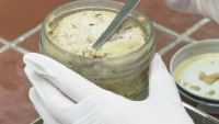Thêm 3 trường hợp nhập viện liên quan đến vụ nghi ngộ độc patê chay ở Bình Dương
