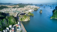 Thủ tướng đồng ý chủ trương lập quy hoạch thành phố Hạ Long giai đoạn 2040 - 2050