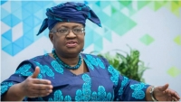Tân Tổng Giám đốc WTO: “Người phụ nữ của những điều đầu tiên”