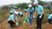 Thủ tướng chính thức phê duyệt Đề án trồng 1 tỷ cây xanh