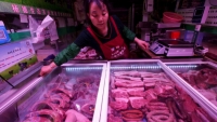 Giá thịt lợn tại Trung Quốc giảm cực sâu bất chấp dịch tả lợn châu Phi