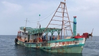 Cảnh sát biển bắt giữ tàu chở 100.000 lít dầu lậu trên biển Kiên Giang