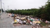 Hà Nội: Chỉ sau một đêm, con đường trăm tỷ ngập ngụa rác thải