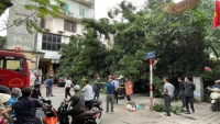 Hà Nội: Cây xanh bật gốc đè trúng xe ô tô trên phố