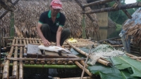 Đề nghị dừng hoạt động, rút giấy phép các công ty xả thải ra sông Mã khiến cá chết hàng loạt