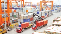 Hàng hóa xuất nhập khẩu sẽ được nhận thông báo phân tích nhanh nhất