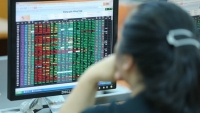 Cổ phiếu bluechips bị bán tháo, Vn-Index giảm tới hơn 40 điểm