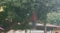 Hoà Bình: Tá hoả phát hiện thi thể người đàn ông treo cổ trên cây