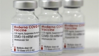 WHO phê chuẩn vaccine COVID-19 do Moderna sản xuất