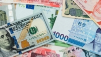 Tỷ giá ngoại tệ hôm nay 1/5: Các quốc gia cung tiền mạnh, đồng USD tăng giá