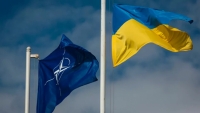 Ukraine có thể đáp ứng tiêu chuẩn để trở thành thành viên của NATO