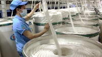 Ấn Độ không áp thuế chống phá giá đối với xơ sợi staple nhân tạo của Việt Nam