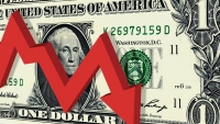 Tỷ giá ngoại tệ hôm nay 11/5: Đô la Mỹ tiếp đà giảm