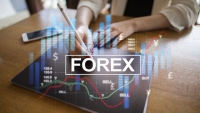 Đầu tư Forex: 